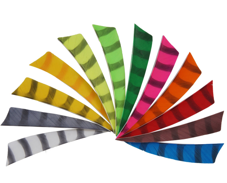 50 Pfeilfedern 2 Zoll - Naturfedern Linker Flügel Für Bogenschießen